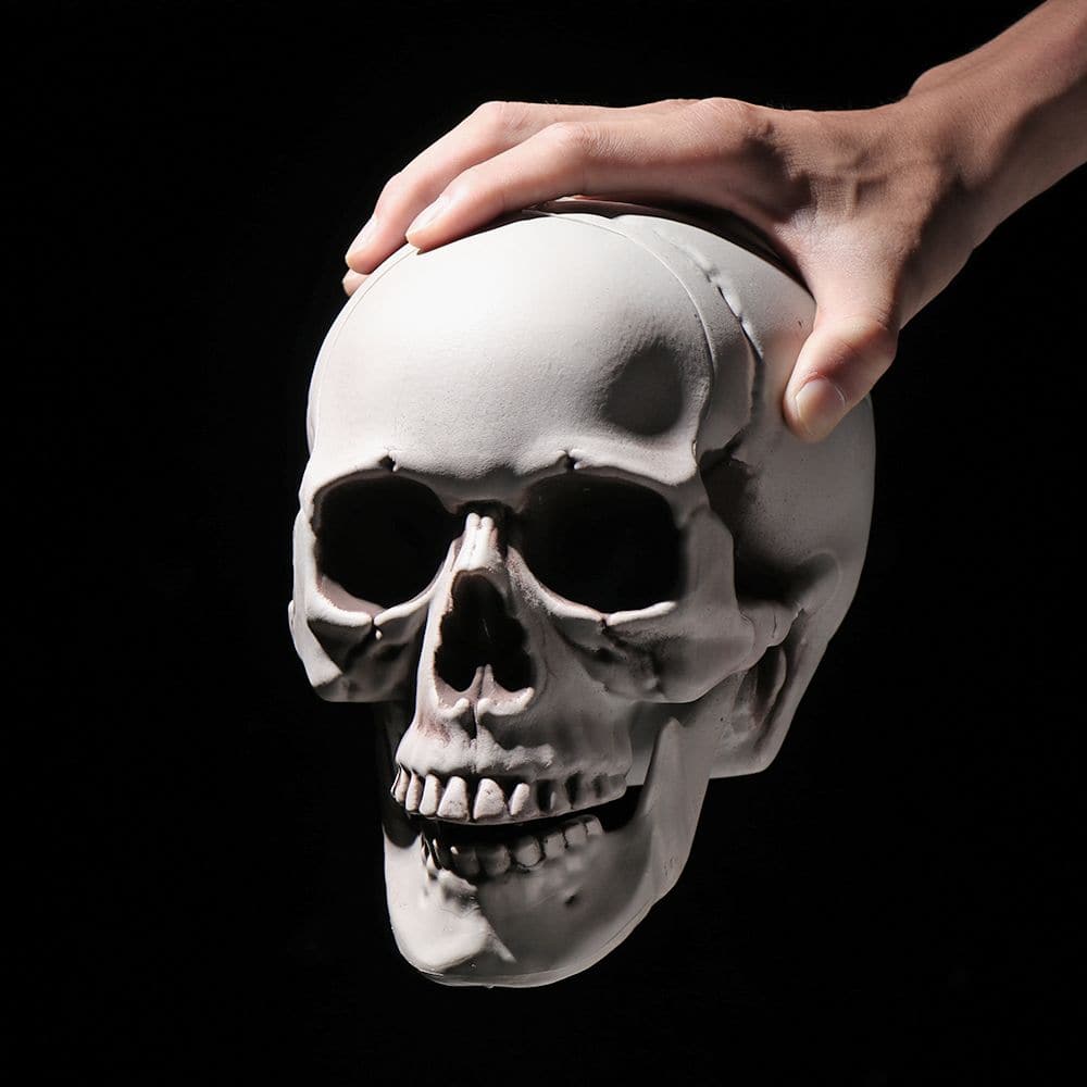 Halloween All Size Human Skull Head Skeleton Hanging Skull Style Photo Prop Home Festival Event Party Decoration Game Supplies