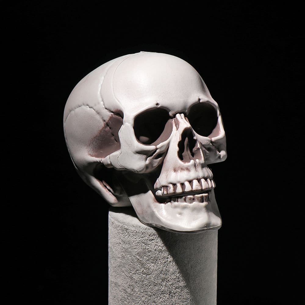 Halloween All Size Human Skull Head Skeleton Hanging Skull Style Photo Prop Home Festival Event Party Decoration Game Supplies