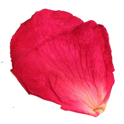 Natural Dried Rose Petals for Valentine - Biodegradable Table Confetti