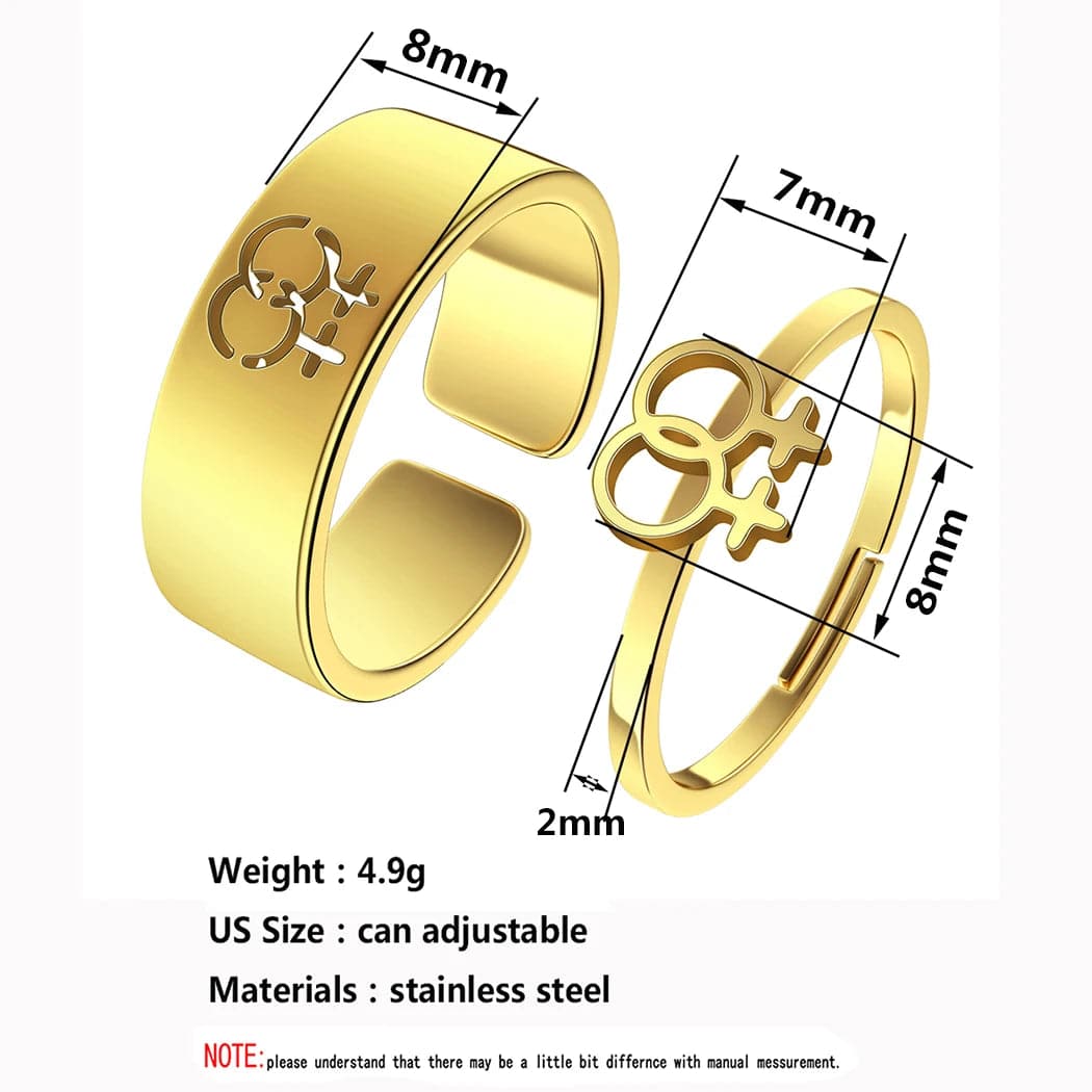 Stainless Steel Lesbian Matching Promise Ring for Women Men Couples Lover Can Adjustable Ring Wedding Valentine's Day Gift