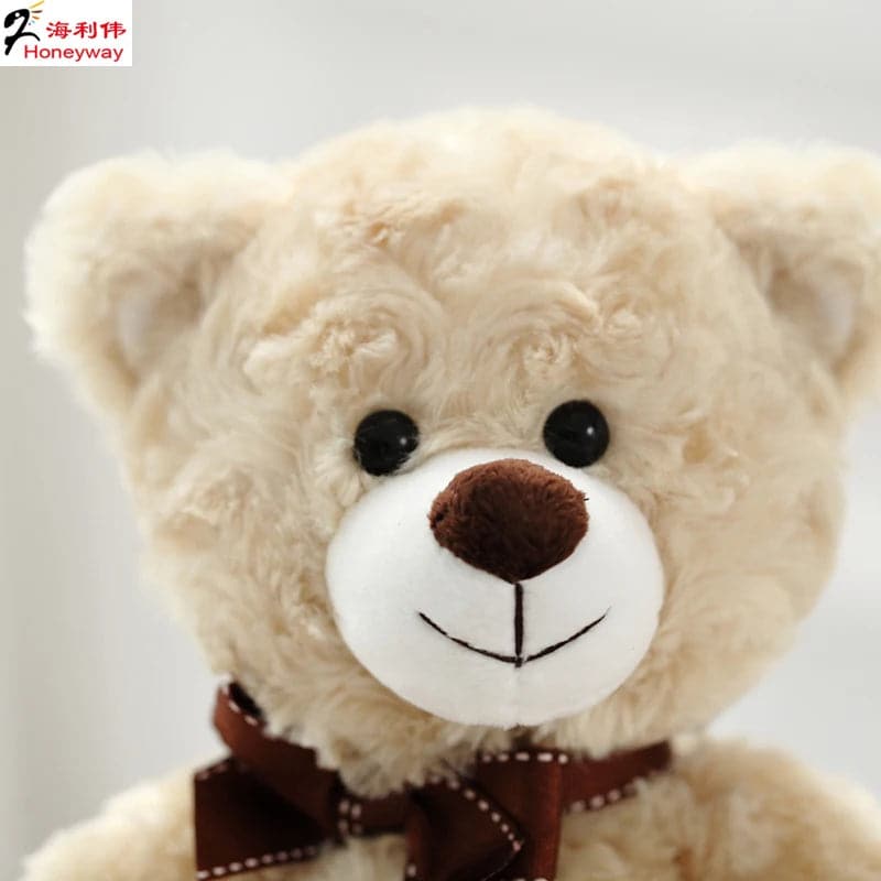 Custom Teddy Bear Valentine Gift